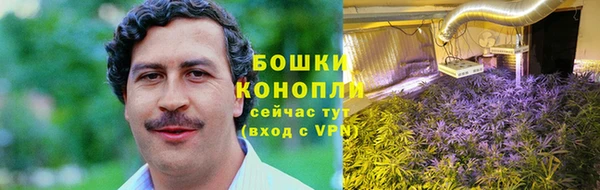 твердый Рославль